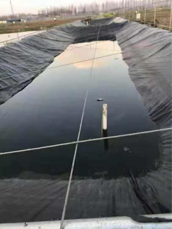 湖南正屹生物科技有限公司,湖南水污染治理公司,生態(tài)修復(fù),土壤污染治理 湖南正屹生物科技有限公司,湖南水污染治理公司,生態(tài)修復(fù),土壤污染治理