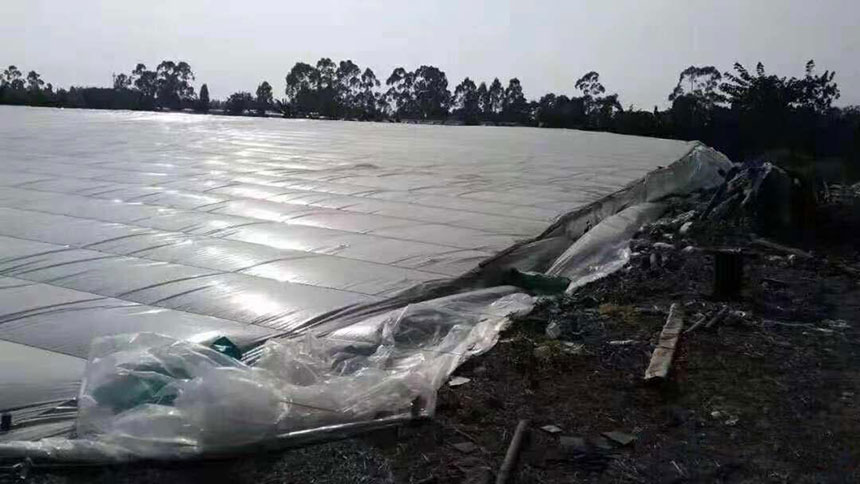 湖南正屹生物科技有限公司,湖南水污染治理公司,生態(tài)修復(fù),土壤污染治理 湖南正屹生物科技有限公司,湖南水污染治理公司,生態(tài)修復(fù),土壤污染治理