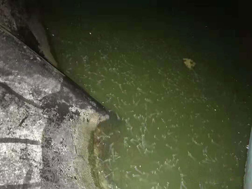 湖南正屹生物科技有限公司,湖南水污染治理公司,生態(tài)修復(fù),土壤污染治理 湖南正屹生物科技有限公司,湖南水污染治理公司,生態(tài)修復(fù),土壤污染治理