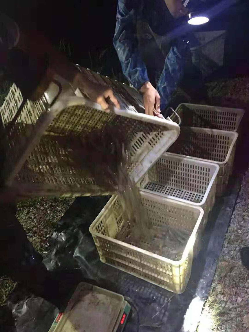 湖南正屹生物科技有限公司,湖南水污染治理公司,生態(tài)修復(fù),土壤污染治理 湖南正屹生物科技有限公司,湖南水污染治理公司,生態(tài)修復(fù),土壤污染治理