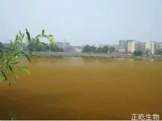 湖南正屹生物科技有限公司,湖南水污染治理公司,生態(tài)修復(fù),土壤污染治理 湖南正屹生物科技有限公司,湖南水污染治理公司,生態(tài)修復(fù),土壤污染治理